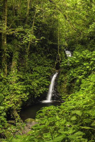 Monteverde Waterfall